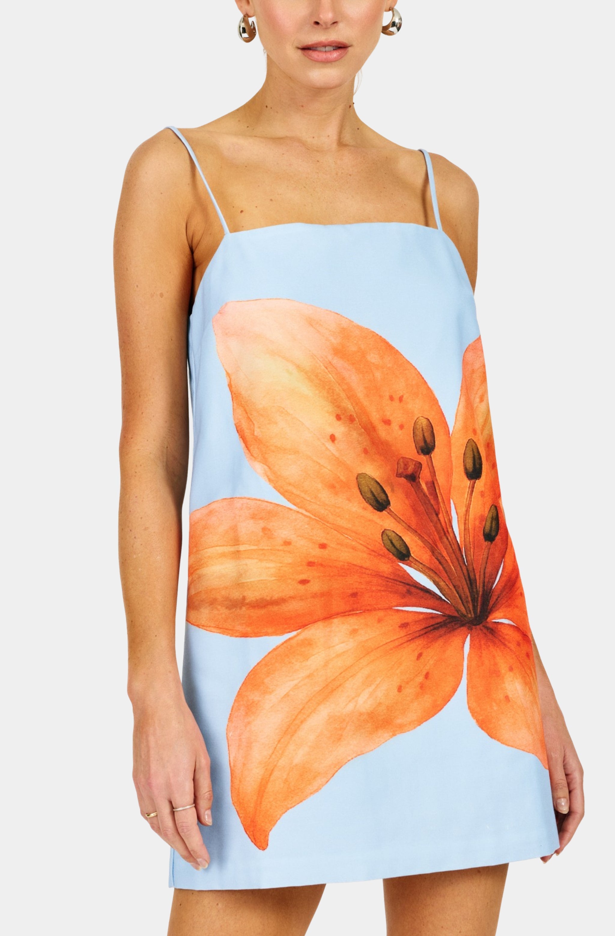 Avah Mini Dress