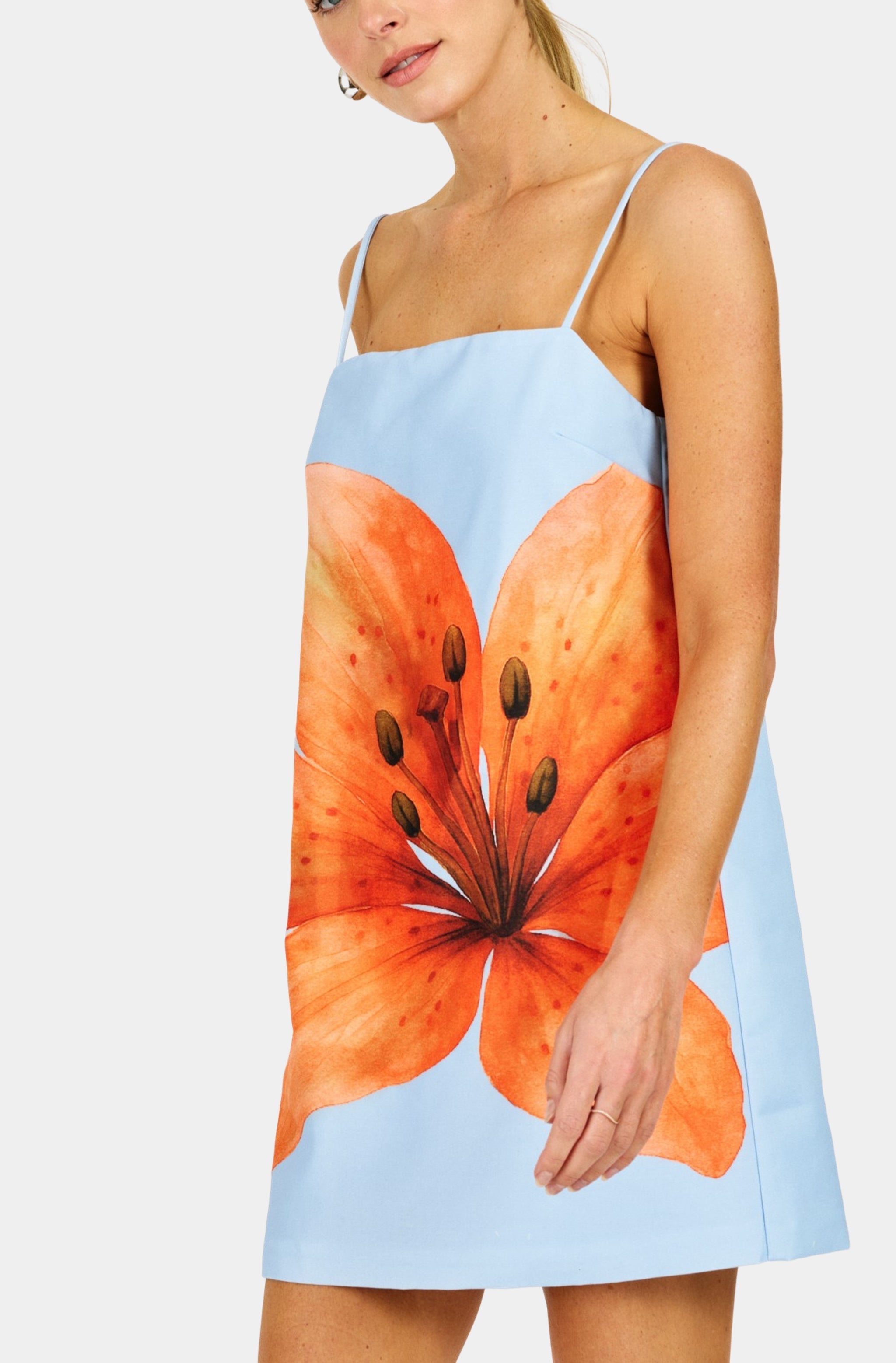 Avah Mini Dress